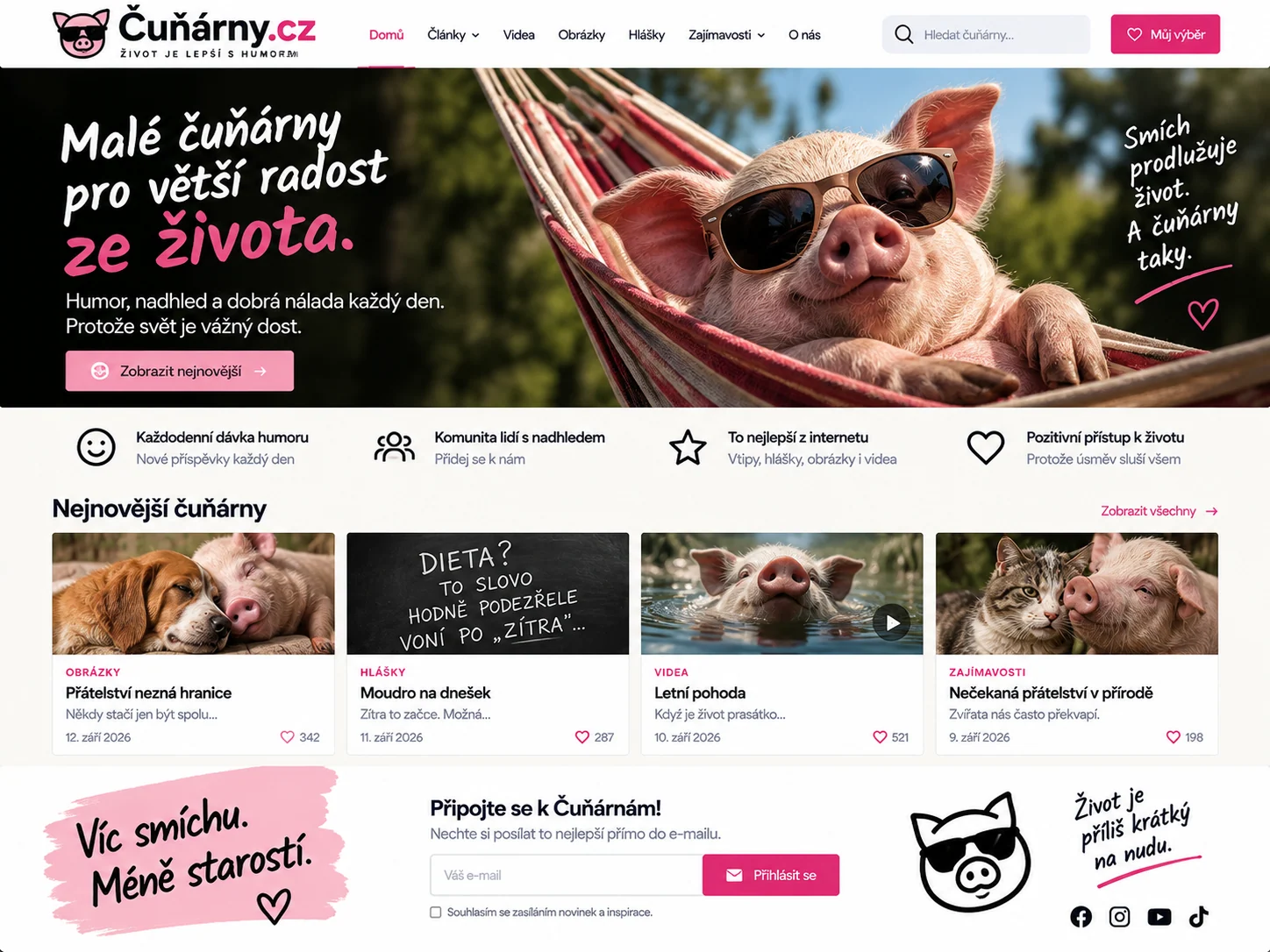 Ilustrační návrh humoristického webu Cunarny.cz s prasátkem v houpací síti